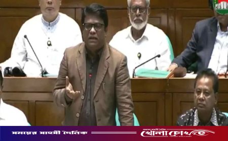 ‘৫০ বছরে আ.লীগের ফিরে আসার সম্ভাবনা ক্ষীণ’