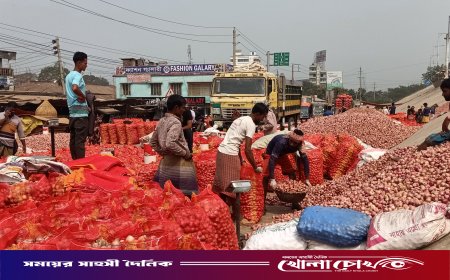 ফরিদপুরে পেঁয়াজের বাম্পার ফলনেও কৃষকের মাথায় হাত, উঠছে না উৎপাদন খরচও