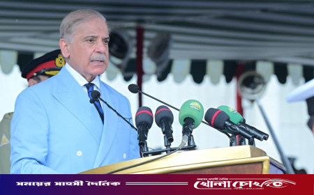 পাকিস্তানের শান্তি নষ্টের চেষ্টা করছে ভারত: শেহবাজ শরিফ