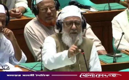 স্বরাষ্ট্রমন্ত্রীকে ‘হাল জামানার মুফতি’ বললেন জামায়াতের এমপি