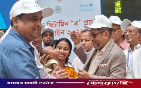 মায়ের শাল দুধের চেয়ে বড় ভিটামিন নেই: স্বাস্থ্যমন্ত্রী