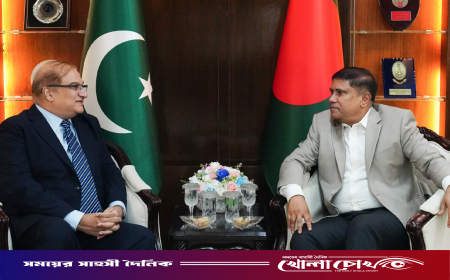 প্রধানমন্ত্রীর প্রতিরক্ষা উপদেষ্টার সঙ্গে পাকিস্তানের হাইকমিশনারের সাক্ষাৎ