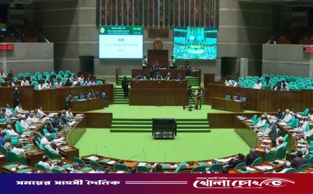 শিশু নির্যাতন প্রতিরোধে বিভিন্ন পদক্ষেপ বাস্তবায়ন করছে সরকার: মন্ত্রী