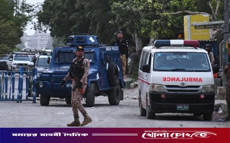 আফগান সীমান্তে পাকিস্তানের হামলায় নিহত ২৯