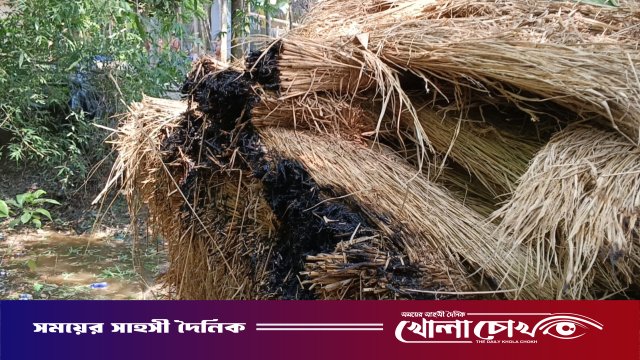 ফরিদপুরের নগরকান্দায় বিএনপির দুই পক্ষের সংঘর্ষ, আহত ১৫