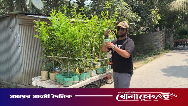 কবরের ফুলগাছ চুরি: চোরের প্রতি প্রতিশোধ নয়, পুরো গ্রামকে ফুলে সাজিয়ে অভিনব জবাব যুবকের