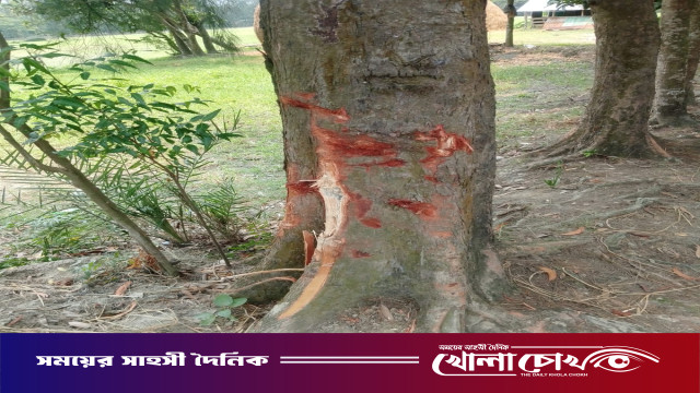 বিয়ের চারদিন পরই না ফেরার দেশে নোয়াখালীর সাইমুন, বন্ধুর অবস্থা আশঙ্কাজনক
