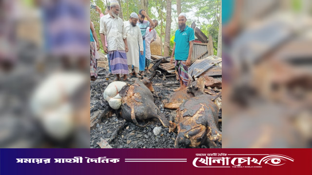 সুবর্ণচরে নষ্ট মিটারের আগুনে পুড়ল কৃষকের বসতঘর ও ৪ গরু, ১০ লাখ টাকা ক্ষতিপূরণ দাবি