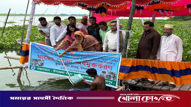 টিটা ভাসমান সেতু বাওড়ের জলে নতুন প্রাণের স্পন্দন, অবমুক্ত ৬৮০ কেজি দেশীয় মাছের পোনা