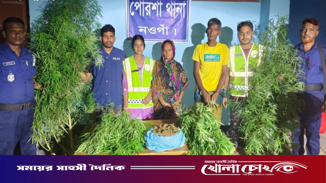 নওগাঁয় ১কেজি গাঁজা ও ৪টি পূর্ণাঙ্গ গাঁজা গাছ'সহ দুই মাদক ব্যবসায়ী গ্রেফতার