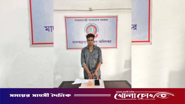 ফরিদপুরে ১ হাজার পিস ইয়াবাসহ মাদক কারবারি গ্রেফতার