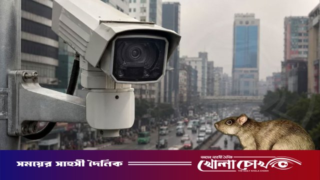 ইঁদুরে তার কাটায় রাজধানীতে দীর্ঘ সময় বন্ধ ছিল এআই ক্যামেরা