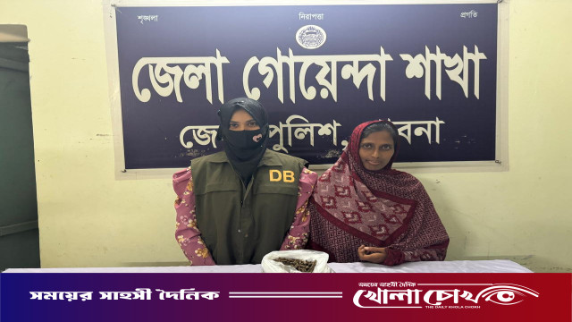 পাবনায় ৫০০ গ্রাম গাঁজাসহ নারী মাদক ব্যবসায়ী গ্রেফতার