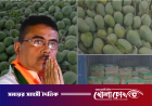 শুভেন্দু অধিকারীর কাছে ৫০০ কেজি আম উপহার পাঠালো বাংলাদেশ