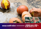 মেহেরপুরে বাচ্চা থাকা পচা ডিম ও ছত্রাকসহ পাউরুটি দেওয়া হলো স্কুল ফিডিংয়ে