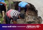 এমপি শহিদুল ইসলাম বাবুলের নির্দেশে সদরপুর-চরভদ্রাসন সড়কের ঝুঁকিপূর্ণ গর্ত সংস্কার