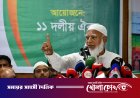 ভোটে হারানোর ষড়যন্ত্রে অন্তর্বর্তী সরকারও লিপ্ত ছিল: জামায়াত আমির