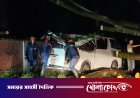 অতিবৃষ্টিতে অ্যাম্বুলেন্সের ওপর ভেঙে পড়ল গাছ