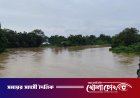ঘাসের বস্তা মাথায় নিয়ে সাঁতার কাটার সময় নদীতে তলিয়ে গেলেন কৃষক