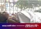 কুষ্টিয়ার দৌলতপুরে ৭ বছরের শিশুর রহস্যজনক মৃত্যু