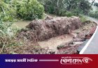 সদরপুরে টানা বৃষ্টিতে ধসে গেল পাকা সড়ক, চরম দুর্ভোগে এলাকাবাসী