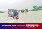দক্ষিণে কমে উত্তরে বাড়ছে
