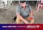 পোড়া মবিলে চলবে রান্নার চুলা: নগরকান্দায় নতুন উদ্ভাবনে স্থানীয়দের কৌতূহল