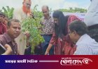 নগরকান্দায় সরকারি প্রাথমিক বিদ্যালয়ে বৃক্ষরোপণ কর্মসূচির শুভ উদ্বোধন
