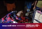 কুষ্টিয়া দৌলতপুরে ছেলের টর্চলাইটের আঘাতে বাবার মৃত্যু
