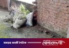 ভাঙ্গায় ঢাকা বিভাগের শ্রেষ্ঠ অদম্য নারীর নির্মাণাধীন বাড়িতে দুঃসাহসিক চুরি