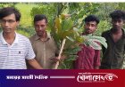 ‘বৃক্ষরোপণে সাজাই দেশ, সবার আগে বাংলাদেশ’: ফরিদপুরে বৃক্ষরোপণ কর্মসূচি পালিত