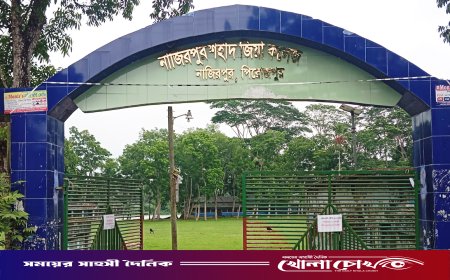 নাজিরপুর কলেজের নাম বদলে হলো ‘নাজিরপুর শহীদ জিয়া কলেজ’