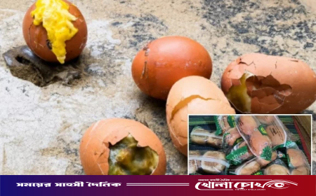 মেহেরপুরে বাচ্চা থাকা পচা ডিম ও ছত্রাকসহ পাউরুটি দেওয়া হলো স্কুল ফিডিংয়ে