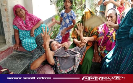 বোয়ালমারীতে পুকুরপাড়ে অরক্ষিত বিদ্যুৎ সংযোগ: তারে জড়িয়ে ভ্যানচালকের মৃত্যু