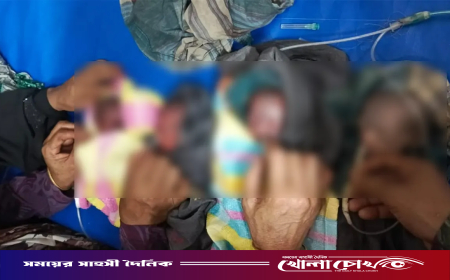 ফরিদপুরে একসঙ্গে ৫ সন্তানের জন্ম, মারা গেল ৪ জন