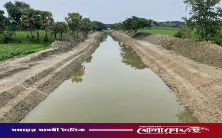প্রাণ ফিরছে ফরিদপুরের ভুবনেশ্বর নদে: মরা খাল থেকে আবার নদী হওয়ার স্বপ্ন