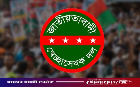 স্বেচ্ছাসেবক দলের নতুন নেতৃত্ব চূড়ান্ত, ঘোষণা যে কোনো সময়