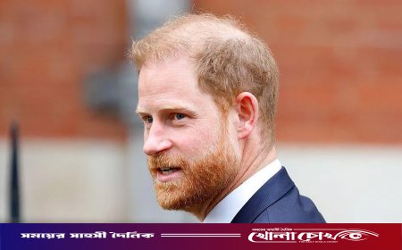 ডেইলি মেইলের প্রকাশকের বিরুদ্ধে করা মামলায় হারলেন প্রিন্স হ্যারি