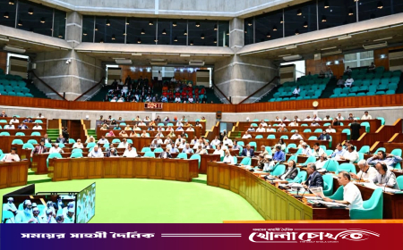 ঢাকায় ইউরোপের কয়েক দেশের ভিসা সেন্টার স্থাপনের উদ্যোগ