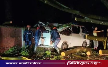 অতিবৃষ্টিতে অ্যাম্বুলেন্সের ওপর ভেঙে পড়ল গাছ