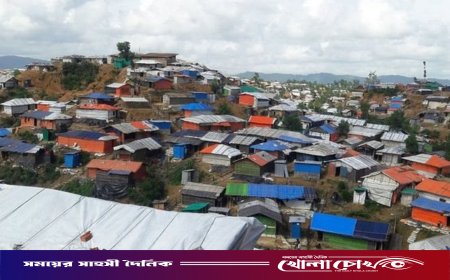 রোহিঙ্গা ক্যাম্পে স্ত্রী-সন্তানকে গলা কেটে হত্যা, স্বামী পলাতক
