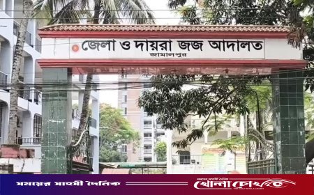 যৌতুকের দাবিতে স্ত্রী হত্যা, ১৩ বছর পর স্বামীর মৃত্যুদণ্ড