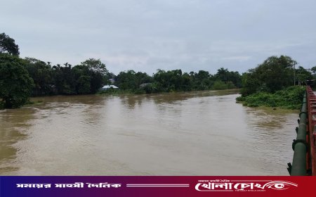 ঘাসের বস্তা মাথায় নিয়ে সাঁতার কাটার সময় নদীতে তলিয়ে গেলেন কৃষক