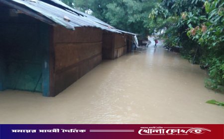 রোয়াংছড়িতে টানা ভারী বর্ষণে বন্যা: তলিয়ে গেছে অর্ধশতাধিক ঘরবাড়ি, যোগাযোগ বিচ্ছিন্ন