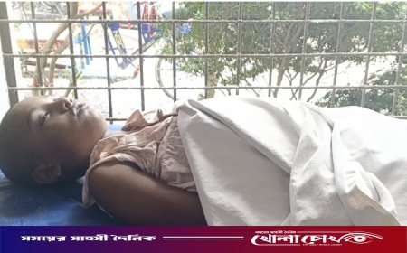 কুষ্টিয়ার দৌলতপুরে ৭ বছরের শিশুর রহস্যজনক মৃত্যু