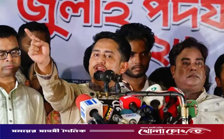 লজ্জা থাকলে শেখ হাসিনা ওই মুখ দেখাতেন না: সারজিস
