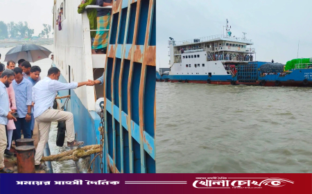 ফেরিকাণ্ডে সমালোচনা, যে ব্যাখ্যা দিলেন হান্নান মাসউদ