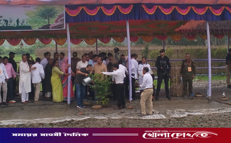 গৌরনদীতে বৃক্ষরোপণ করলেন প্রধানমন্ত্রী