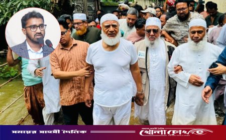 জামায়াত আমিরের সফরকে ‘ভাইরাল রোগ’ আখ্যা রাশেদ খানের