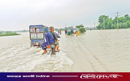 দক্ষিণে কমে উত্তরে বাড়ছে